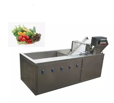 Core Components PLC Motor-Fruit Vegetable Bubble Washer Moringa Leaf Washing Machine Efficient Vegetable Fruit Washing Line